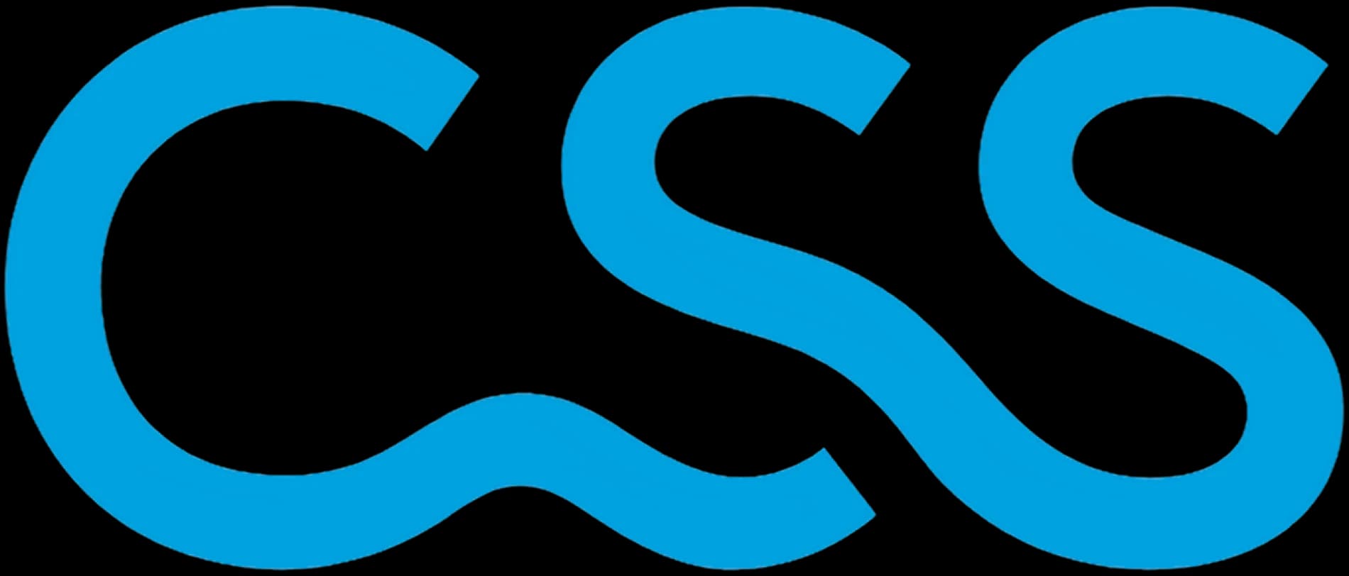 CSS logo CSS logo